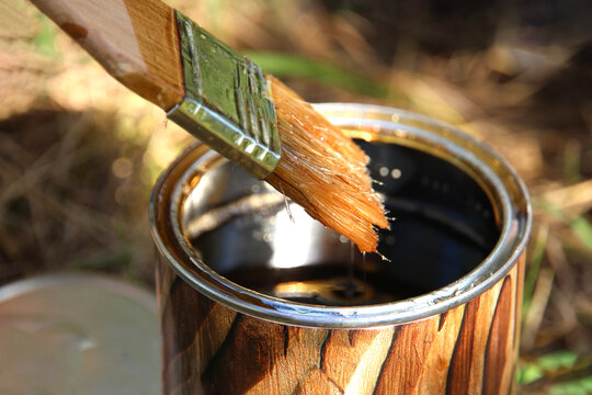Paintbrush dipped into a can of wood stain before coating timber. Close-up of woodworking tools, DIY renovation, wood protection and finishing preparation.