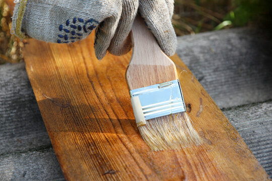 Close-up of a gloved hand applying protective wood stain with a paintbrush on a wooden board outdoors. DIY home improvement, woodworking, maintenance, renovation, and wood preservation.