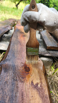 Brush spreading wood preservative over a rustic wooden plank. Outdoor DIY woodworking, timber protection, home repair and natural wood finishing.
