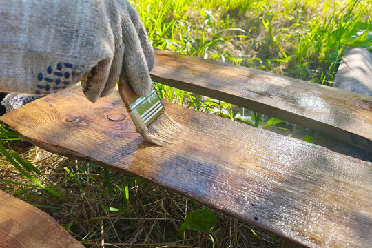 Applying protective wood stain to an outdoor wooden board with a paintbrush. DIY home maintenance, timber preservation, woodworking and renovation project.