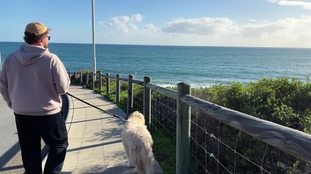 Rear view of a man walks his dog along a path next to the ocean under a clear blue sky.