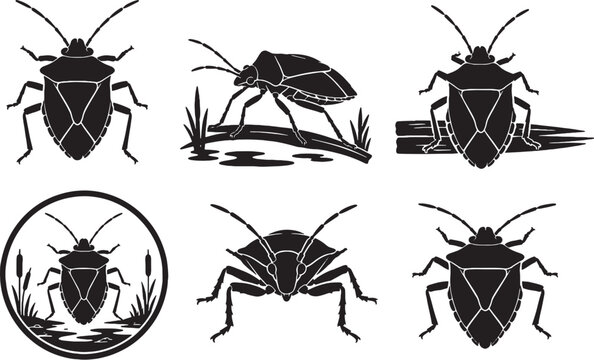 Giant Marsh Stink Bug Silhouette Icon Set Black Vector Shield Bug Collection