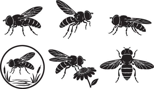 Giant Marsh Hoverfly Silhouette Icon Set Black Vector Insect Collection Isolated on White Background
