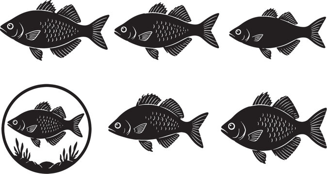 Freshwater Aru Rainbowfish Silhouette Icon Set Black Vector Collection