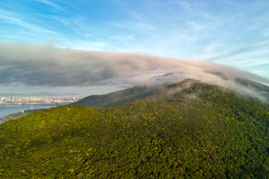 Lush tropical forest covers the mountains of Son Tra Peninsula in Danang as soft clouds drift over the landscape near the quiet coast during the morning light