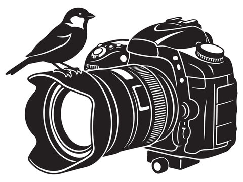 Camera Silhouette Line Art Vector Bundle