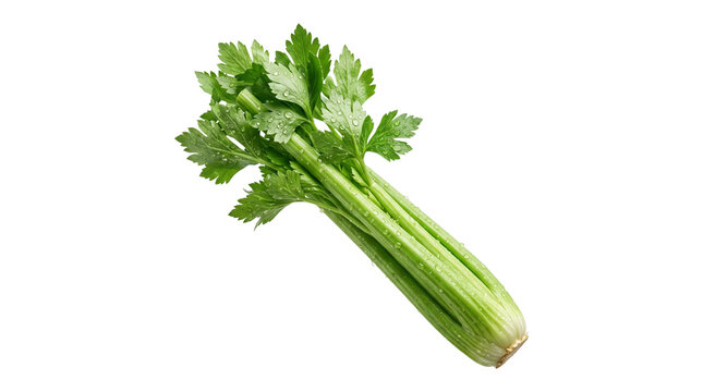 Fresh green celery stalk with leaves isolated on transparent background png healthy vegetable for cooking.