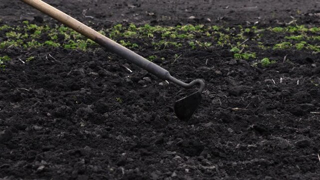 A gardener cultivating dark soil using a metal hoe in a vegetable garden, reflecting hard manual labor and sustainable farming practices for organic growth during the spring season