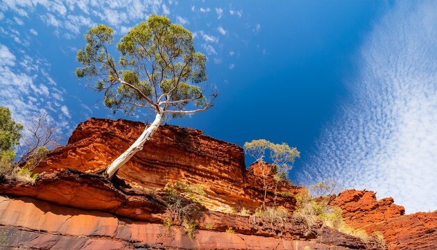 Falaise Et Arbre Vus De Contrebas Avec Ciel Bleu Dans Le Parc National De Karijini N Paysage Naturel Spectaculaire En Australie