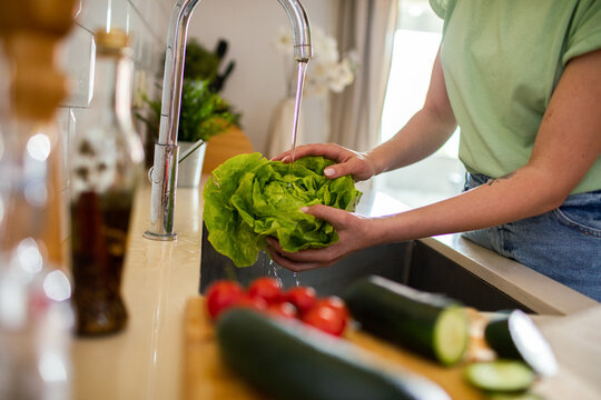 Woman washing fresh lettuce at kitchen sink
