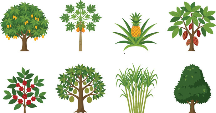 Tropical Fruit Tree and Plant Vector Collection with Mango, Papaya, Pineapple, and More