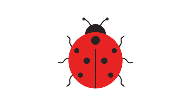 A ladybug is sitting on a surface in a natural environment.