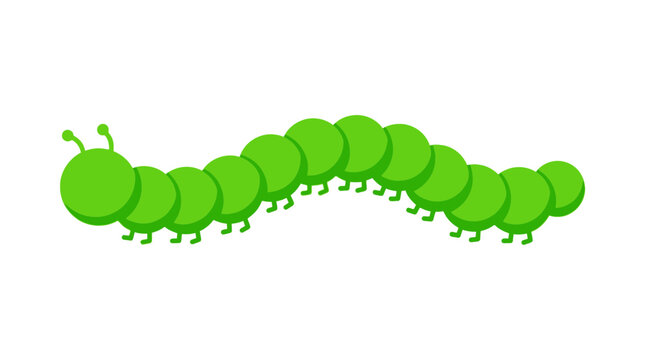 A vibrant green caterpillar with antennae crawls slowly on surface