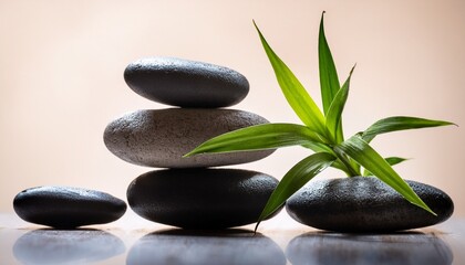 Fototapeta premium Wellness Still Life Pebbles Stacked With Blade Of Grass