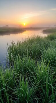 A serene fen landscape at dawn featuring misty wetlands, lush green reeds, and calm water reflecting a soft golden sky in the wilderness, natural, nature, reflection