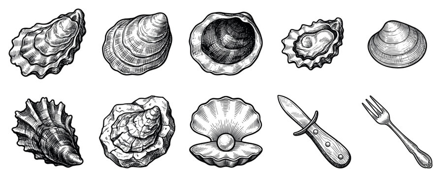 Oyster and seafood icons set. Marine food and shellfish concept. Includes oyster shells, clam, scallop with pearl, oyster knife, fork. Hand-drawn engraving style