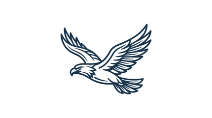 Fototapeta premium Eagle Bird Flying Wings Spread Wide.