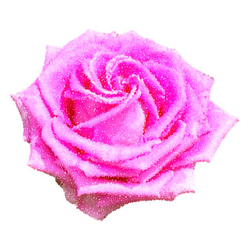 Pink rose cut out of magazine halftone element for collage. Flower head with stipple pointillism dotted texture. Floral sticker with vintage grain. Modern retro vector illustration isolated