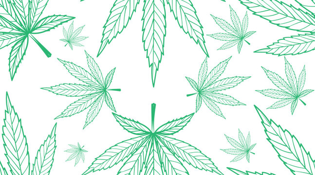 Seamless vector cannabis leaf pattern, cannabis leaf design, seamless fabric pattern.