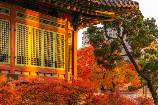 Details of Seogeodang Gate in autumn with colorful leaves at Deoksugung Palace in Jung District, Seoul, South Korea