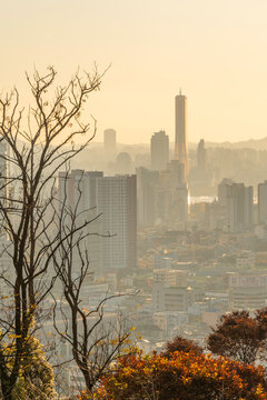 View of Seoul skyline from N Seoul Tower during autumn golden hour in Yongsan District of South Korea