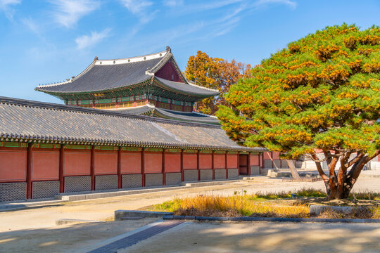 View of Changdeokgung Palace on a sunny day with clear sky in Jongno District