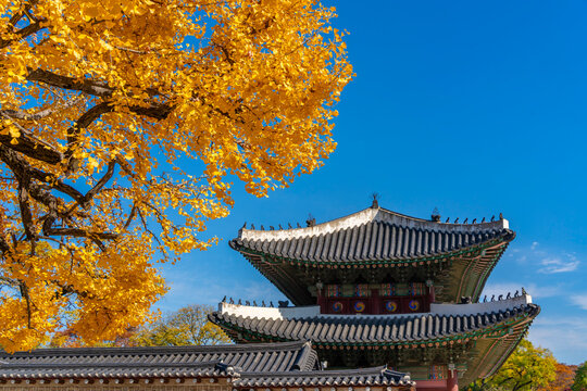 Sunny day view of Unhanmun at Changdeokgung Palace surrounded by autumn trees in Seoul, South Korea