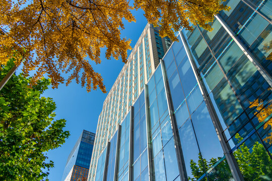 High rise buildings surrounded by autumn colors under a clear sky in Jongno District, Seoul, South Korea on a sunny day
