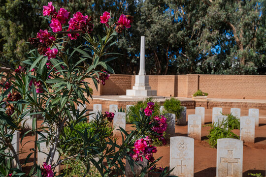British World War 2 cemetery with flowers in Benghazi, Libya showing graves and memorials for soldiers