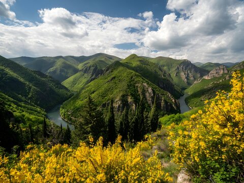 Lush green mountains and a winding river with vibrant yellow flowers, scenic natural landscape