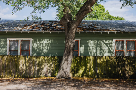 Oak Tree Casting Shadows on House and Fence