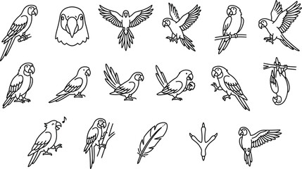 Diverse collection of parrot vector illustrations showcasing various poses including flying perched eating and hanging birds rendered in a clean black and white minimalist line art style for creative  © saif