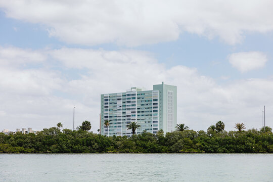 Coastal Condominium Beyond Mangrove Shoreline