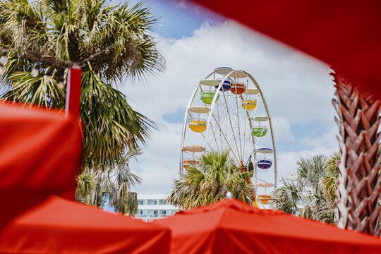 Ferris Wheel Framed by Red Umbrellas and Palm Trees