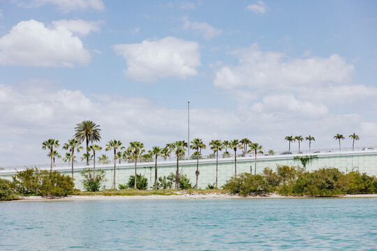 Palm Trees Along Coastal Causeway Over Blue Water