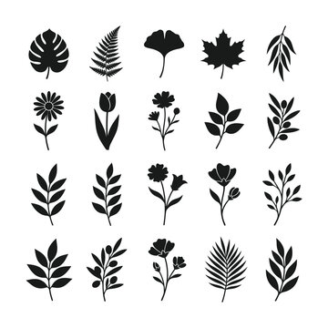 Set of tropical leaves and botanical foliage vector icons