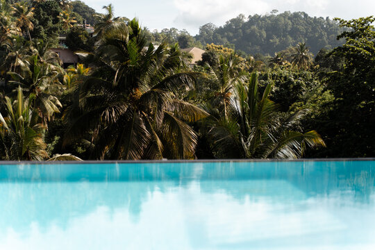 Relaxing Infinity Pool. Sri Lanka Tropical Landscape
