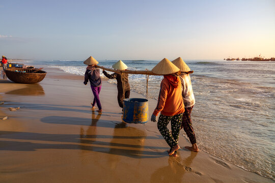Carrying Fish Along Shore