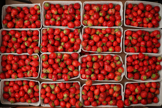 A Crate Full of Summer