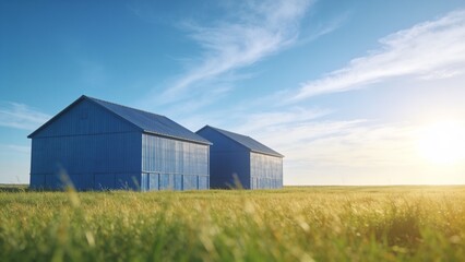 Obraz premium Modern blue barns standing in serene golden grass field under clear sky