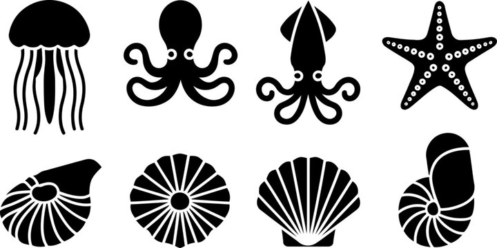 Black silhouettes of various sea creatures and shells on white background