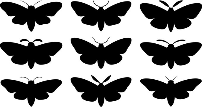 Collection of various butterfly silhouettes on white background