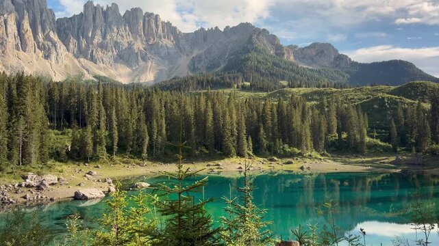 Lake Carezza Morning Light with Young Pine Saplings and Wooden Fence, Turquoise Water Below Dolomite Peaks South Tyrol Italy