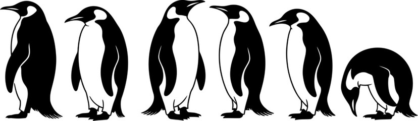 Set of penguins in different poses standing and bending down on white background © SAYEDAJANNATUL