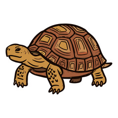 Obraz premium Hand drawn illustration of a cute brown tortoise walking on a white background.