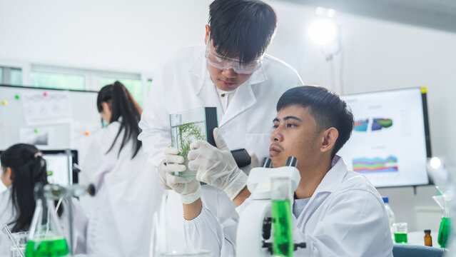 Laboratory scientist microscope plant research beaker glove white coat teamwork experiment with focused young Asian man examining seedling sample in modern biotechnology lab