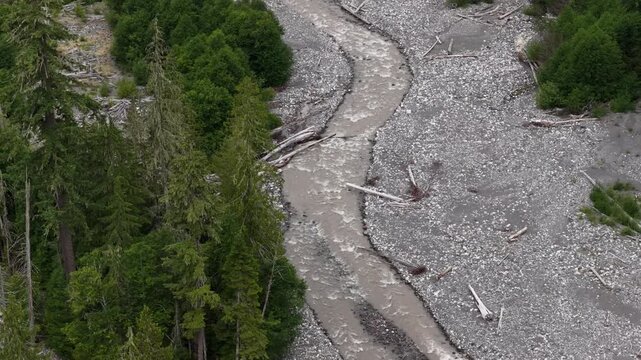 Aerial of Nisqually River in Gifford Pinchot National Forest near Ashford with wide gravel streambed and surrounding evergreen forest with fallen logs