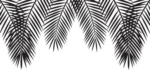 Palm fronds in silhouette against a clean white background for tropical themes © MST MEHENAJ