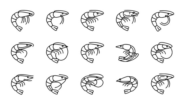 set of shrimp icons in different poses