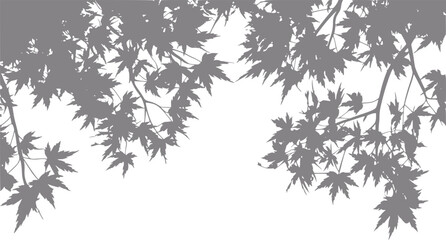 きれいな白い背景に孤立したカエデの木の枝と葉のミニマリストなシルエット © Papri_stock